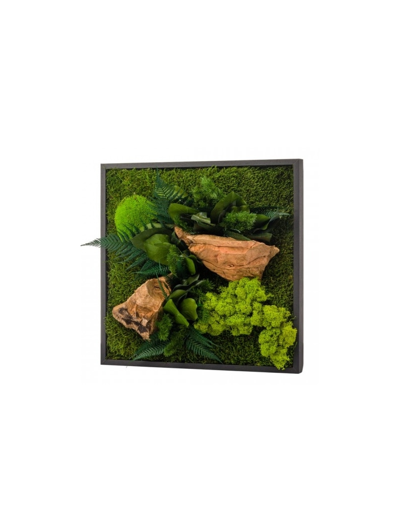 Tableau végétal stabilisé CANOPE CARRE