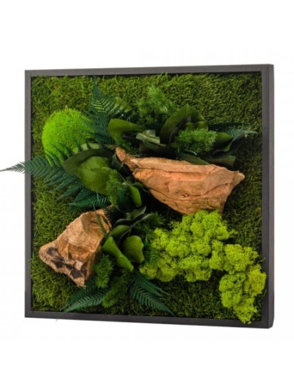 Tableau végétal stabilisé CANOPE CARRE