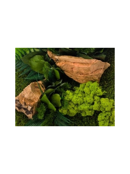 Tableau végétal stabilisé CANOPE CARRE