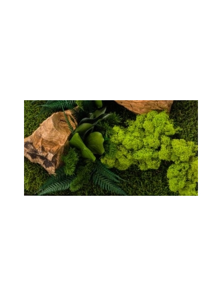 Tableau végétal stabilisé CANOPE CARRE