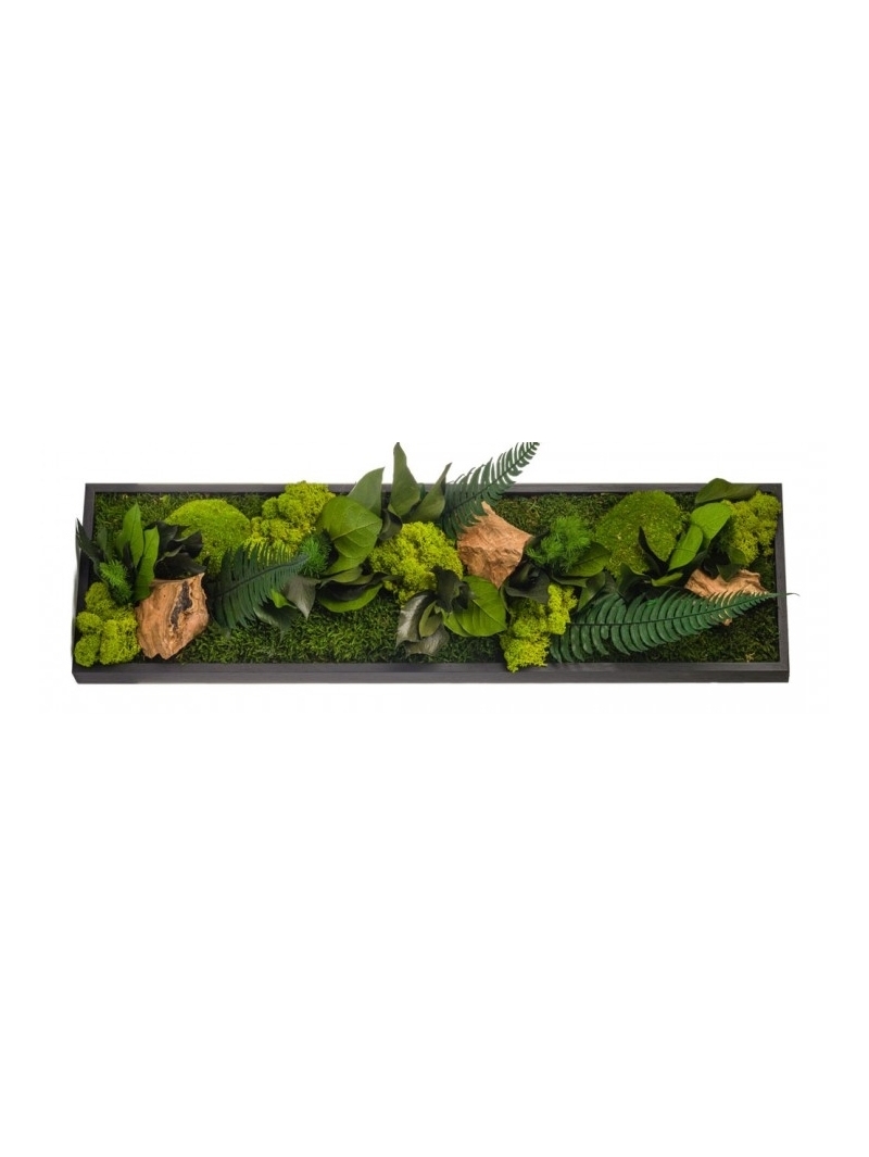 Tableau végétal stabilisé CANOPE PANORAMIQUE