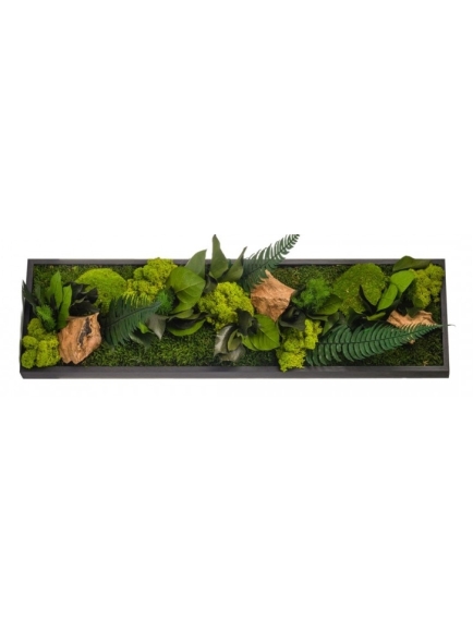 Tableau végétal stabilisé CANOPE PANORAMIQUE