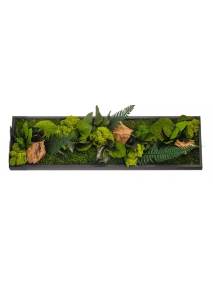 Tableau végétal stabilisé CANOPE PANORAMIQUE