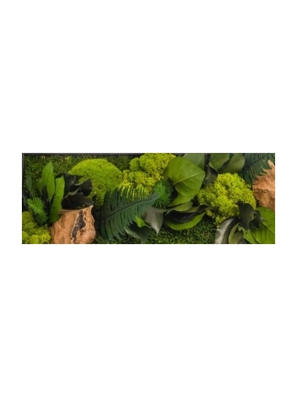 Tableau végétal stabilisé CANOPE PANORAMIQUE