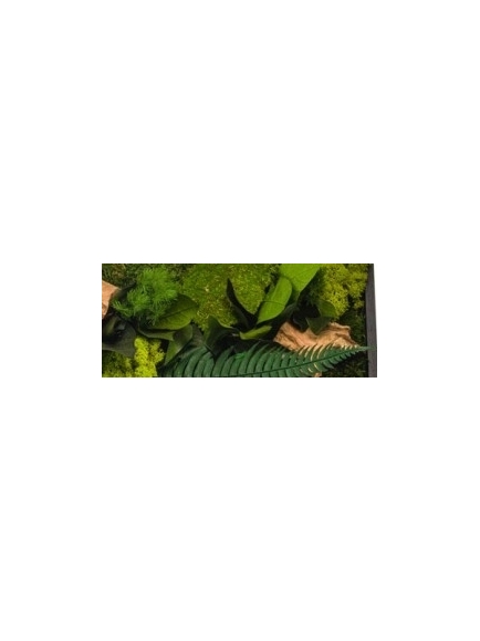 Tableau végétal stabilisé CANOPE PANORAMIQUE
