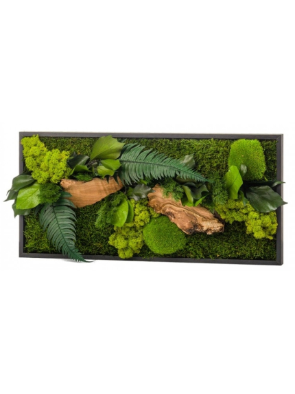 Tableau végétal stabilisé CANOPE RECTANGLE