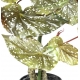 Plante artificielle Bégonia Maculata