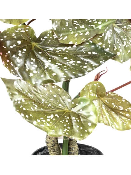 Plante artificielle Bégonia Maculata