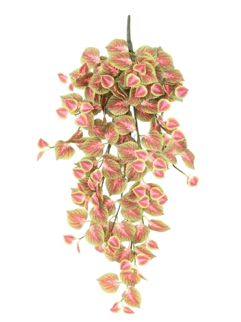 CHUTE COLEUS ARTIFICIEL