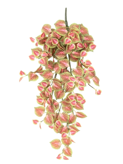 CHUTE COLEUS ARTIFICIEL