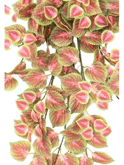 CHUTE COLEUS ARTIFICIEL