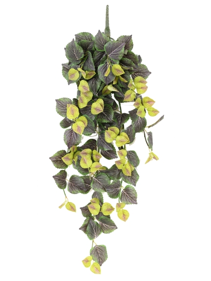 CHUTE COLEUS ARTIFICIEL VERT FONCE
