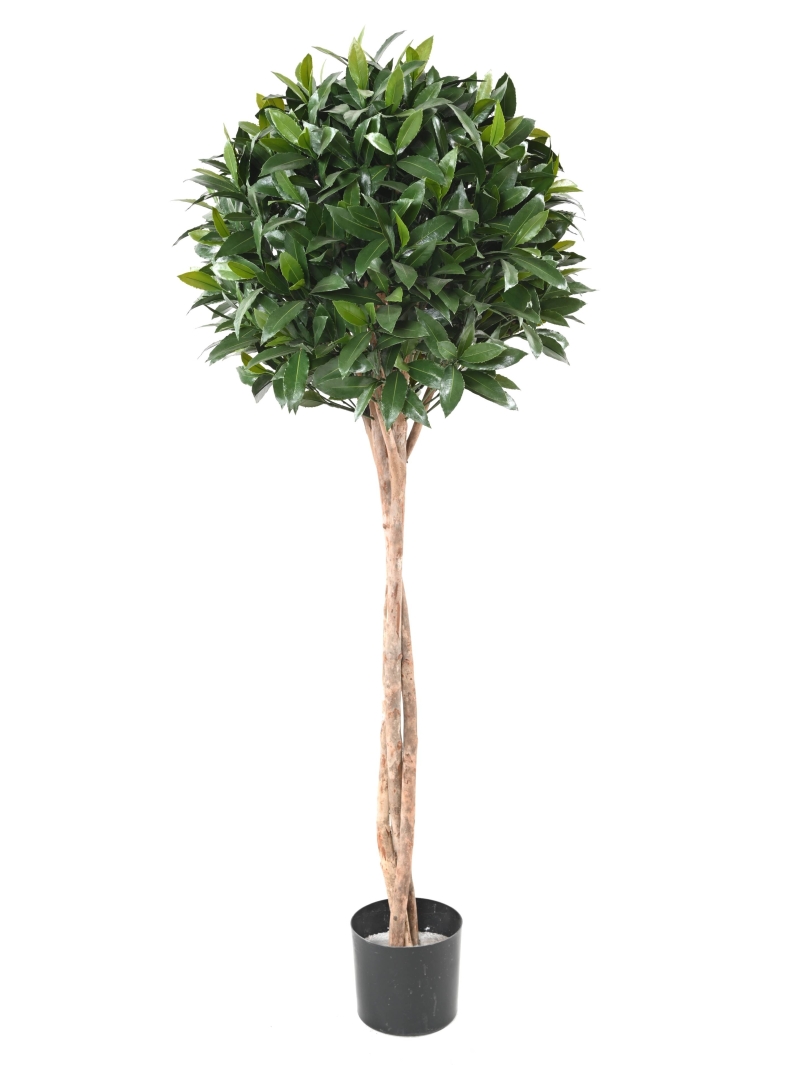 Laurier artificiel Boule Nobilis new tige - UV