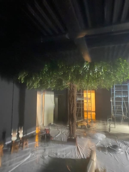 Ficus artificiel liane Umbrella