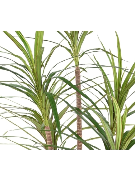 DRACAENA MARGINATA ARTIFICIEL 160 CM