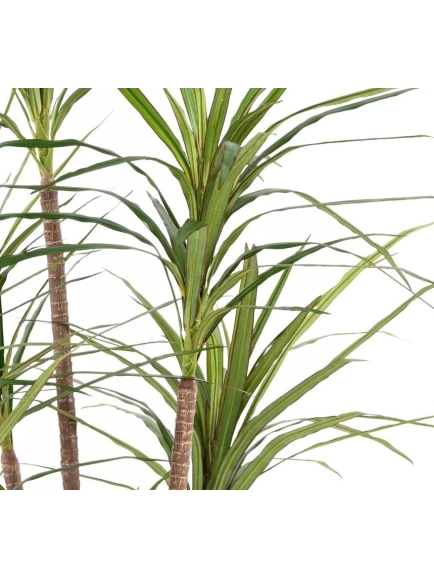 DRACAENA MARGINATA ARTIFICIEL 160 CM