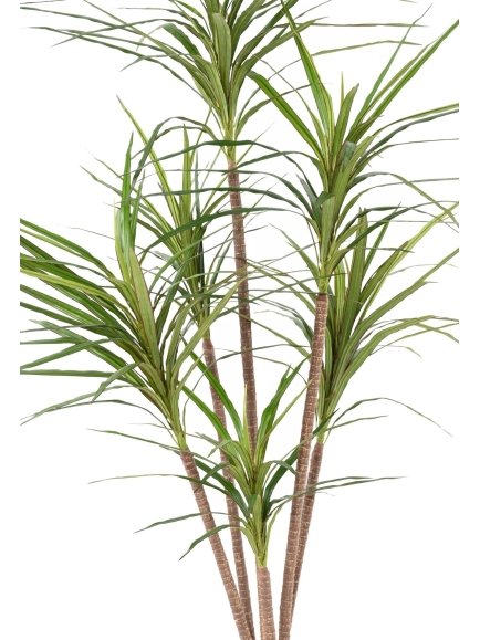 DRACAENA MARGINATA ARTIFICIEL 160 CM