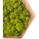 Tableau végétal stabilisé HEXAGONAL S Lichen Vert