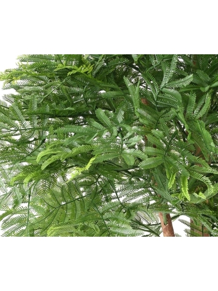 TAMARIN ARTIFICIEL TETE (Mimosa)