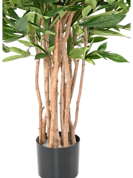 DRACAENA ARTIFICIEL SURCULOSA 155 CM
