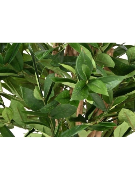 DRACAENA ARTIFICIEL SURCULOSA 155 CM