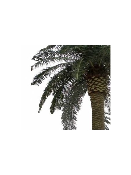 PALMIER Artificiel ROYAL XXL 5M30