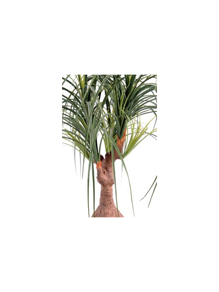 beaucarnéa artificiel 75 cm