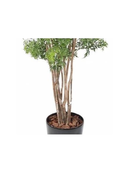 Aralia Artificiel Ming Nittida 160 Pot Rond