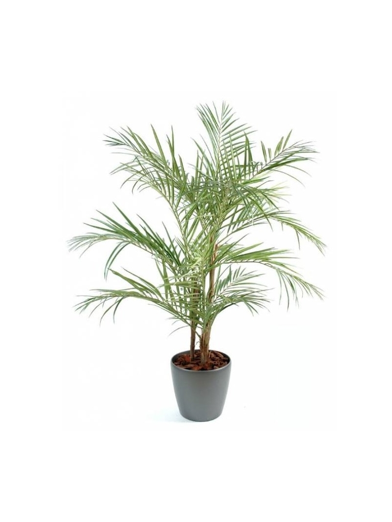 Aralia Artificiel Ming Nittida 160 Pot Rond