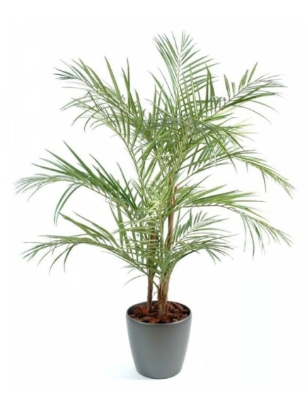 Aralia Artificiel Ming Nittida 160 Pot Rond