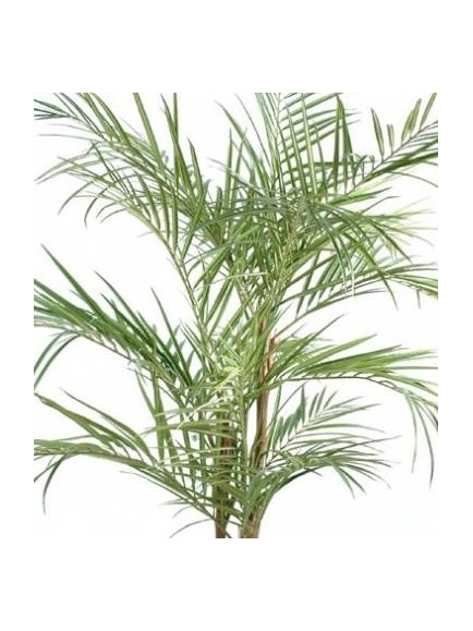 Aralia Artificiel Ming Nittida 160 Pot Rond