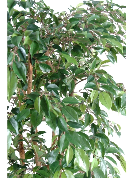 Ficus artificiel natasja multitree 180 cm