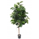Ficus elastica ARTIFICIEL (ficus caoutchou) 150 cm