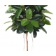Ficus elastica ARTIFICIEL (ficus caoutchou) 150 cm