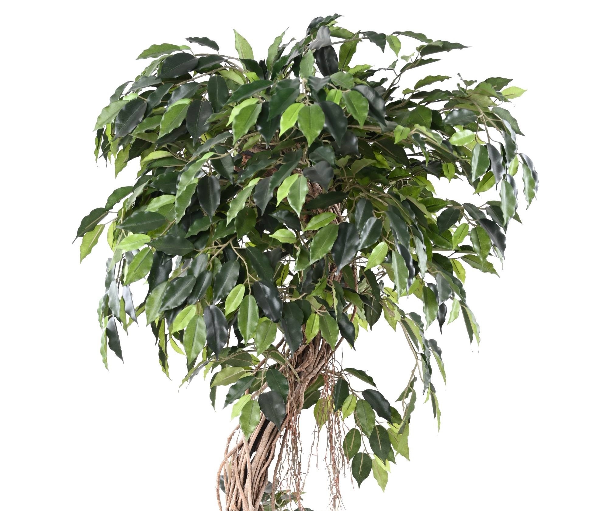 Ficus Artificiale JARLAN Con Tronco Intrecciato – 120 Cm, 430 Foglie Verde-bianco – Pianta Decorativa In Vaso Cementato