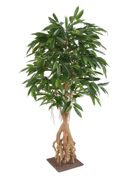 Ficus artificiel Root Longifolia