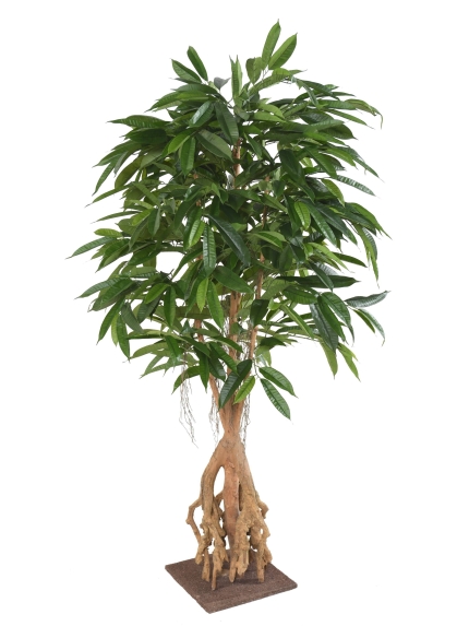 Ficus artificiel Root Longifolia