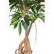 Ficus artificiel Root Longifolia