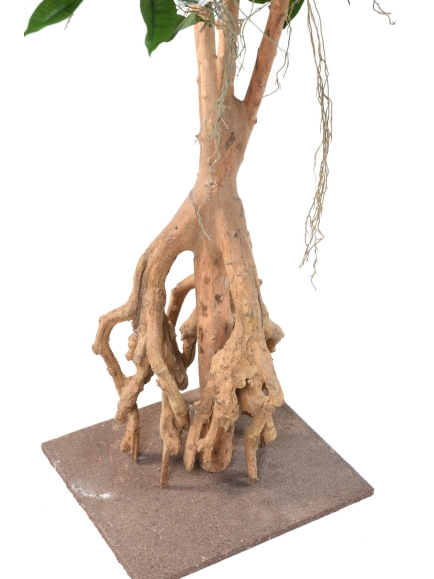 Ficus artificiel Root Longifolia