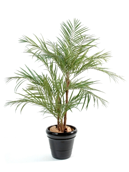 Aréca artificiel palm - 3 pieds + 170 cm