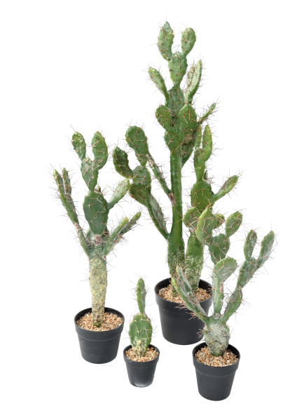 Cactus artificiel