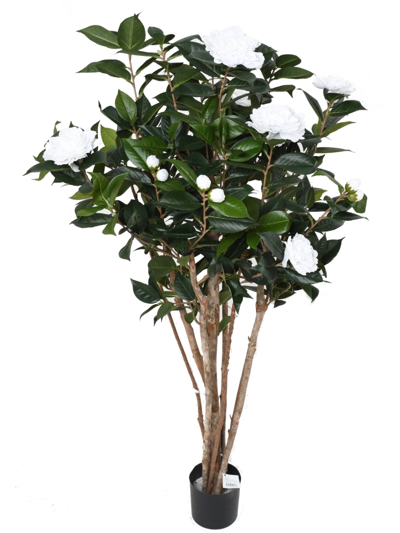 CAMELIA JAPONICA ARTIFICIEL DOUBLE NEW 130 CM