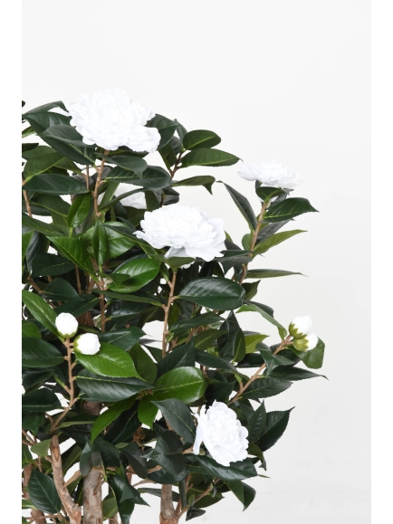 CAMELIA JAPONICA ARTIFICIEL DOUBLE NEW 130 CM