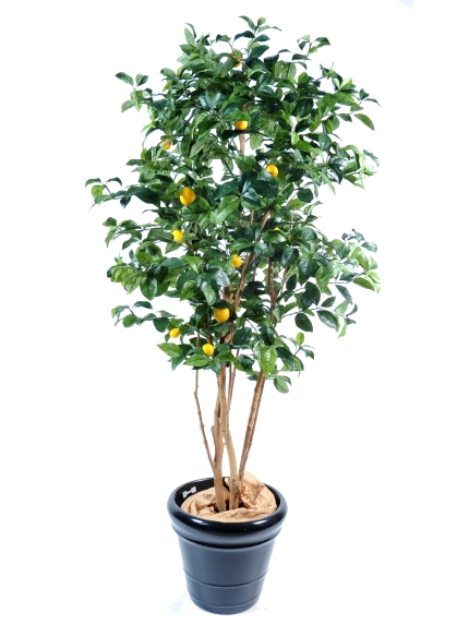 Citronnier golden artificiel 150 cm