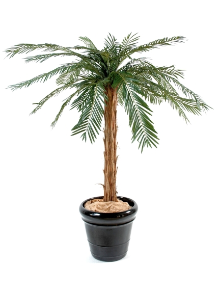 Cycas artificiel palm 150 cm