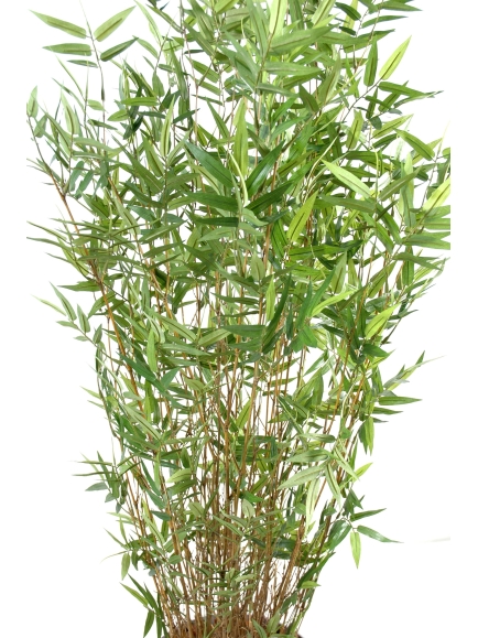 Bambou artificiel multitree Oriental 