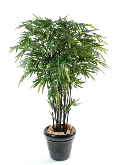 Bambou artificiel black (cannes noir) - Hauteur 150 cm