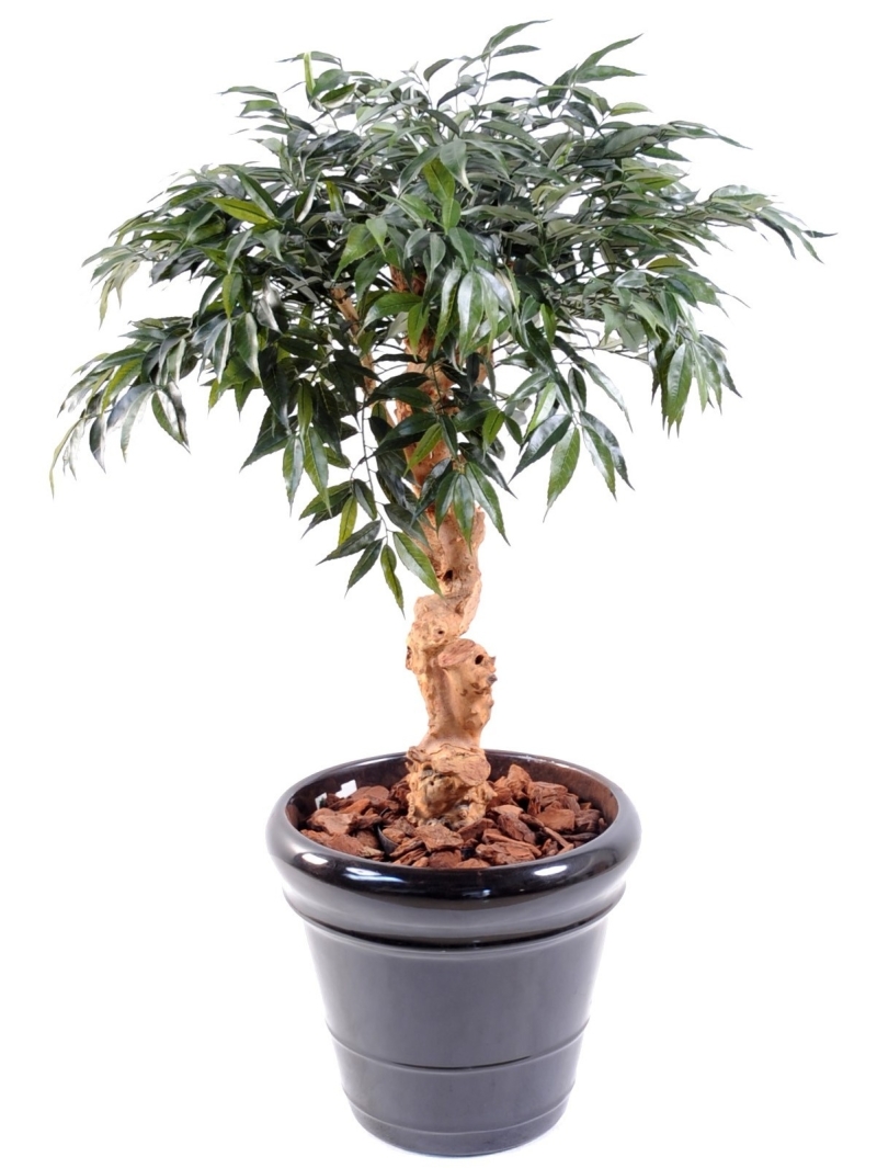 Arbre artificiel Shirakashi Umbrella - 95 cm