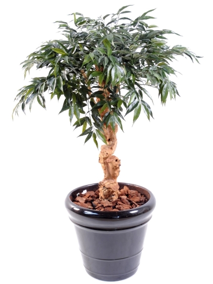 Arbre artificiel Shirakashi Umbrella - 95 cm