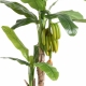 Bananier artificiel tree + Bananes - 180 cm